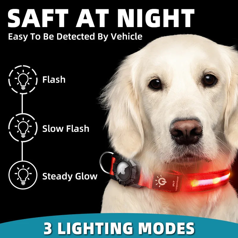 LightWalk — Collier LED rechargeable pour chien, visible de nuit avec support GPS