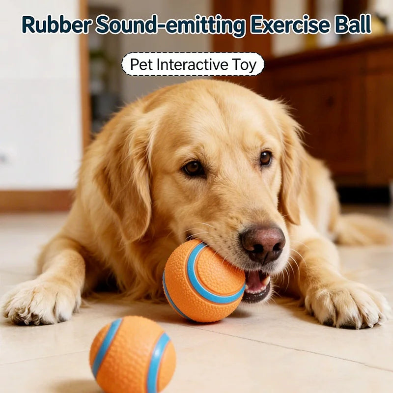 Squiz'Ball — Balle couineuse en caoutchouc naturel pour chien
