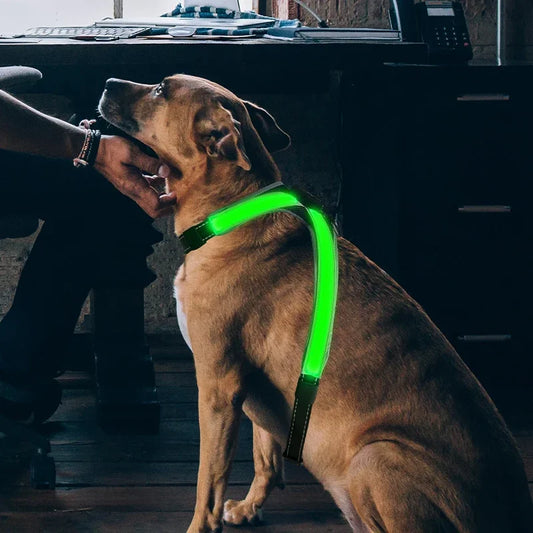 NightDog — Harnais lumineux LED rechargeable pour chien