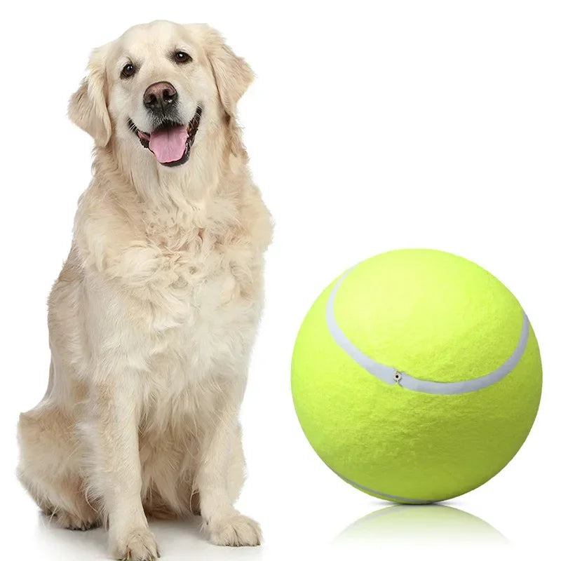 Dogovic — Balle de tennis géante pour chien