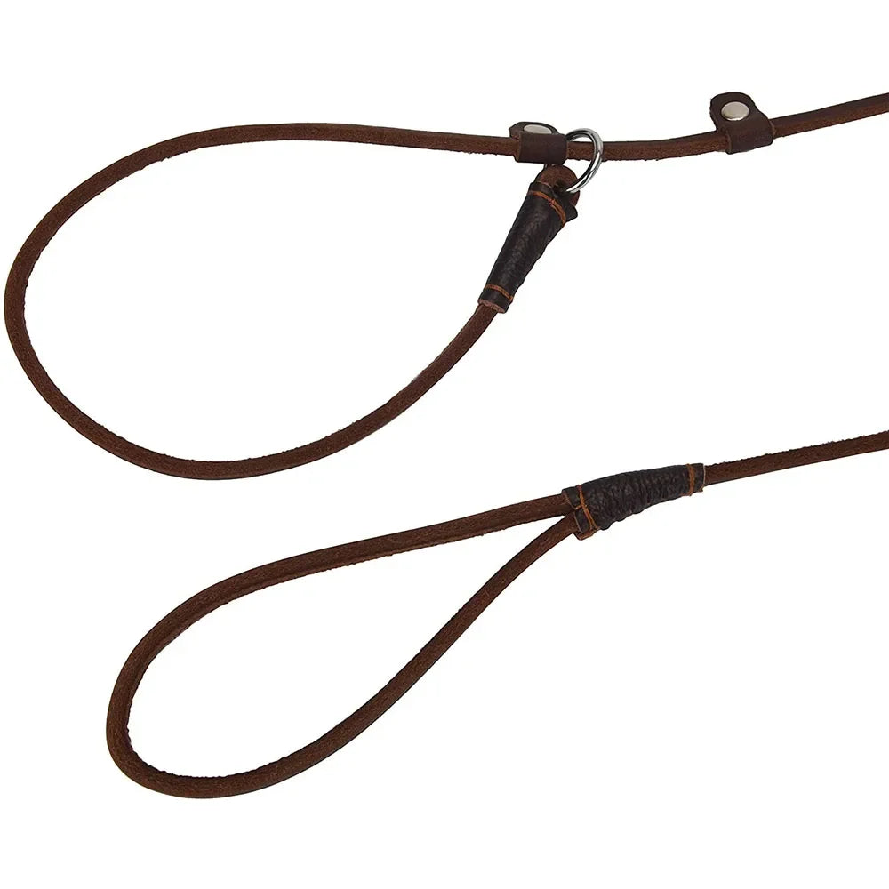 SlipPaw — Laisse lasso en cuir souple pour chien et chiot