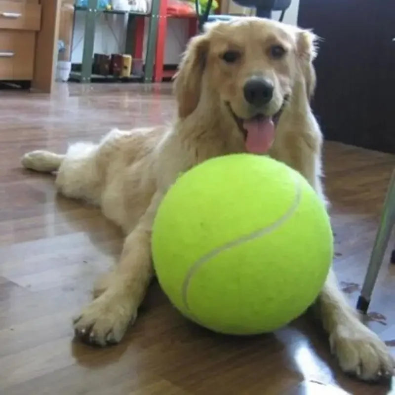 Dogovic — Balle de tennis géante pour chien
