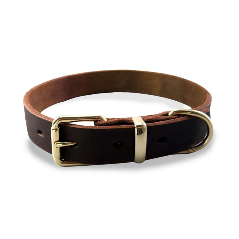 CuirNoble — Collier en cuir véritable rembourré pour chien