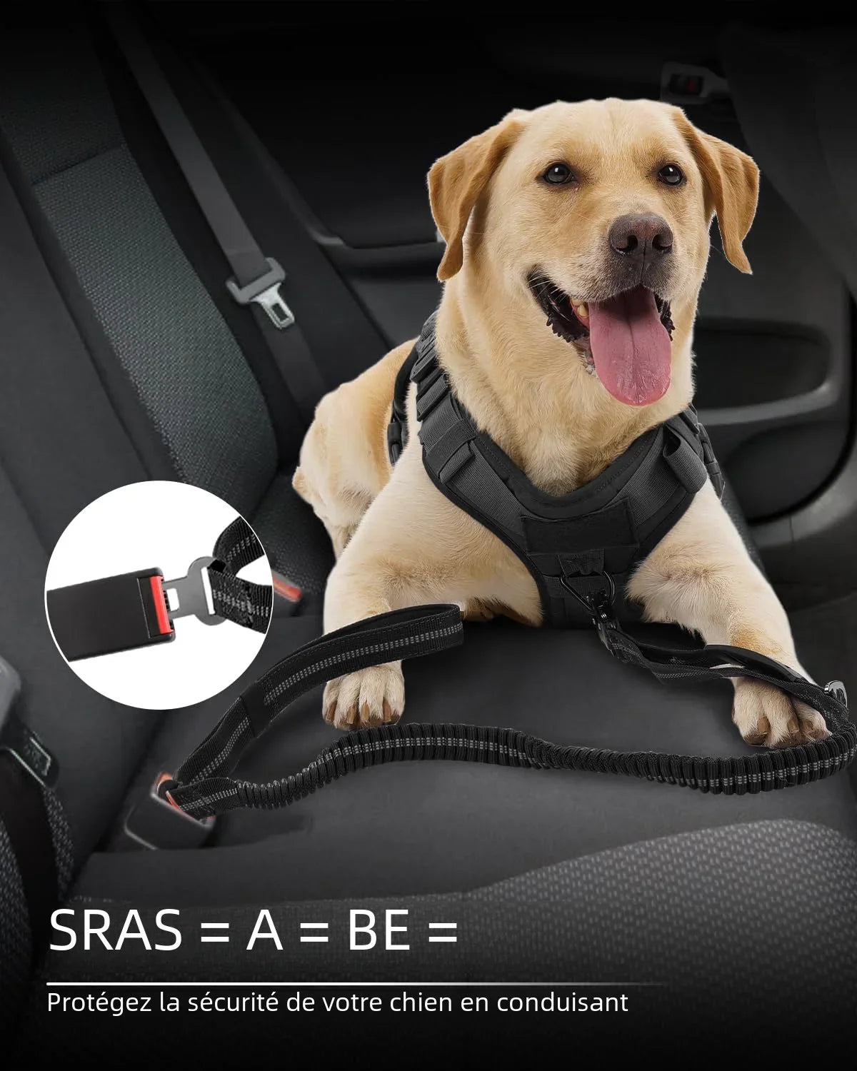FlexLead — Laisse robuste à amortisseur élastique pour chien