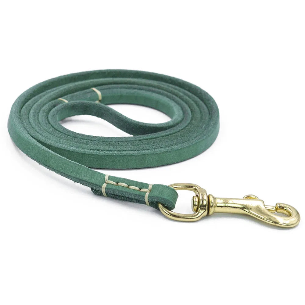 Pawstige — Laisse en cuir véritable souple pour chien