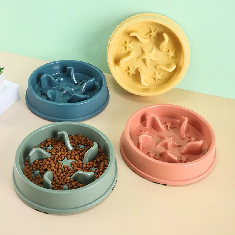 SlowBowl — Gamelle anti-glouton pour chien et chat