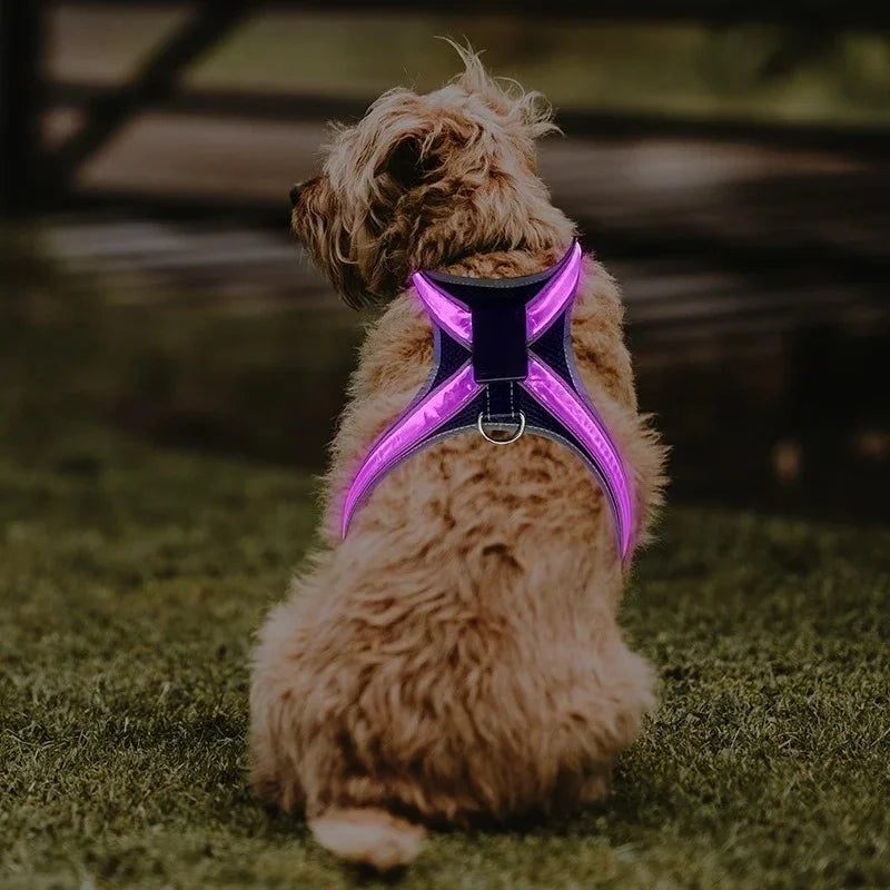 NightDog — Harnais lumineux LED rechargeable pour chien