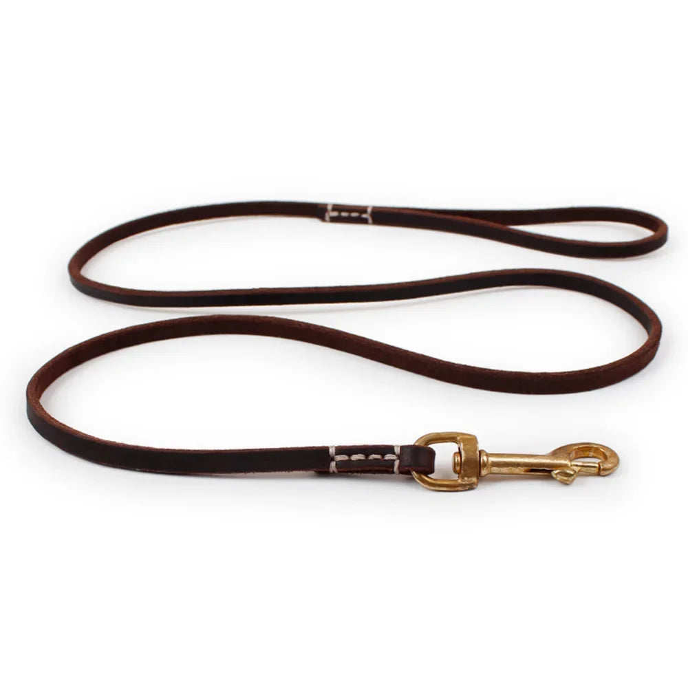 Pawstige — Laisse en cuir véritable souple pour chien
