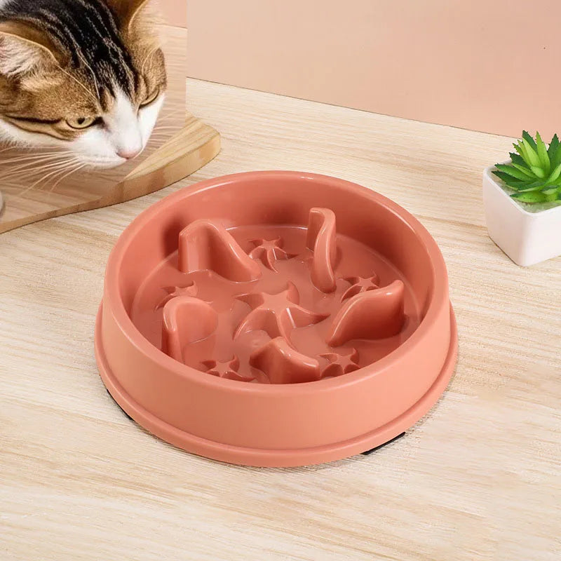 SlowBowl — Gamelle anti-glouton pour chien et chat