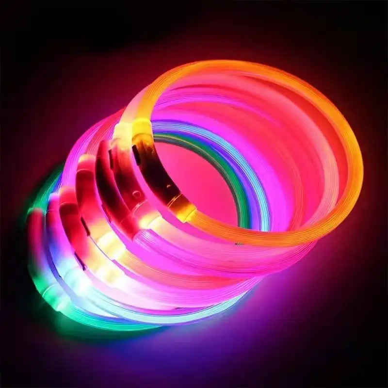 LumiCollar — Collier LED rechargeable pour chien