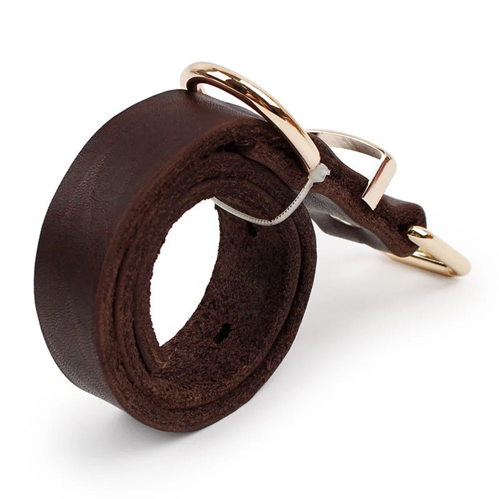 CuirNoble — Collier en cuir véritable rembourré pour chien