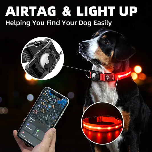 LightWalk — Collier LED rechargeable pour chien, visible de nuit avec support GPS